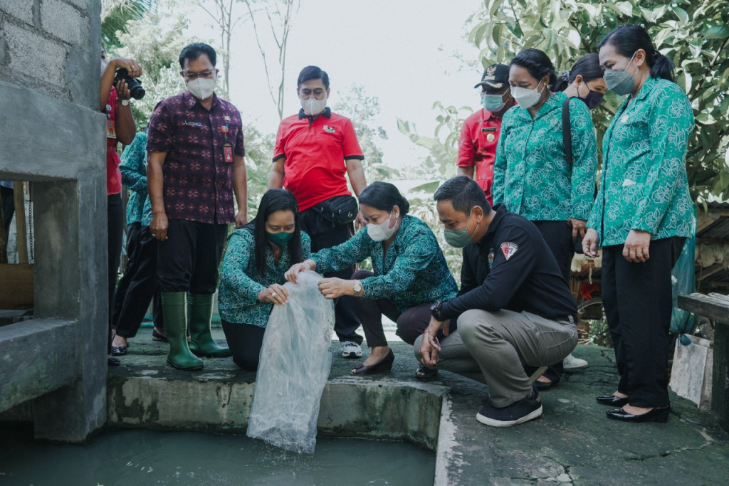 Seniasih Giri Prasta Serahkan Benih Ikan Nila di 6 Kecamatan di Kabupaten Badung